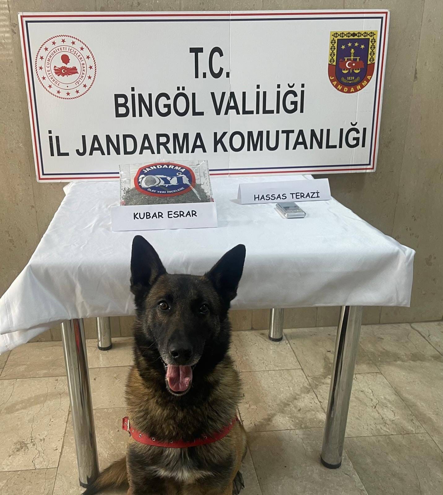 Bing&ouml;l&rsquo;de kesinleşmiş hapis cezası bulunan 8 zanlı yakalandı
