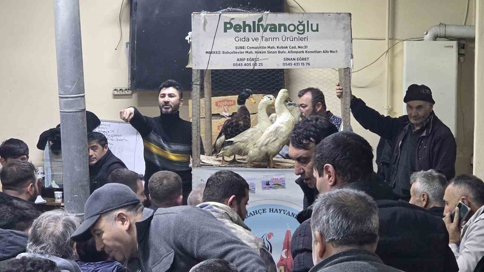 K&uuml;tahya&rsquo;daki s&uuml;s tavukları a&ccedil;ık artırmayla satıldı
