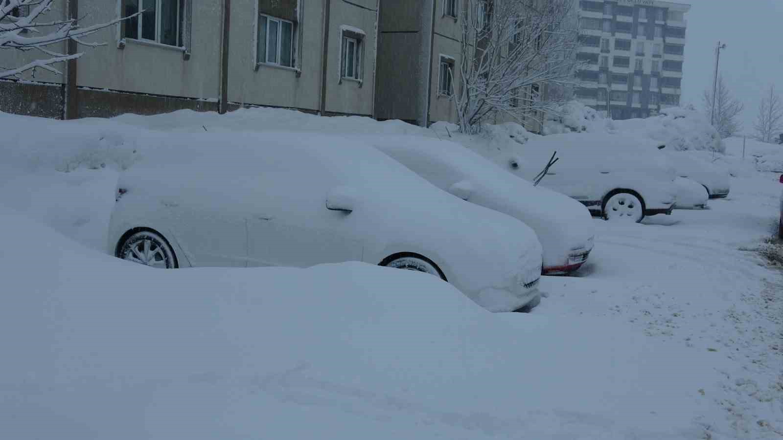 Bitlis&rsquo;te 165 k&ouml;y yolu kardan kapandı
