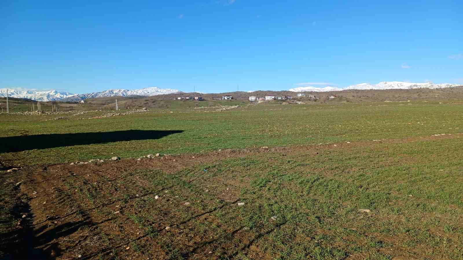 Kulp&rsquo;ta yağışlar &ccedil;ift&ccedil;inin umudu arttı
