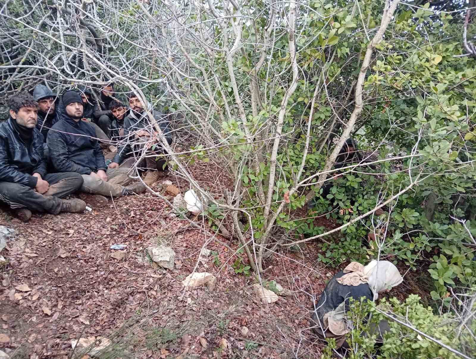 Hatay&rsquo;da zeytinlik alanda 30 d&uuml;zensiz g&ouml;&ccedil;men yakalandı
