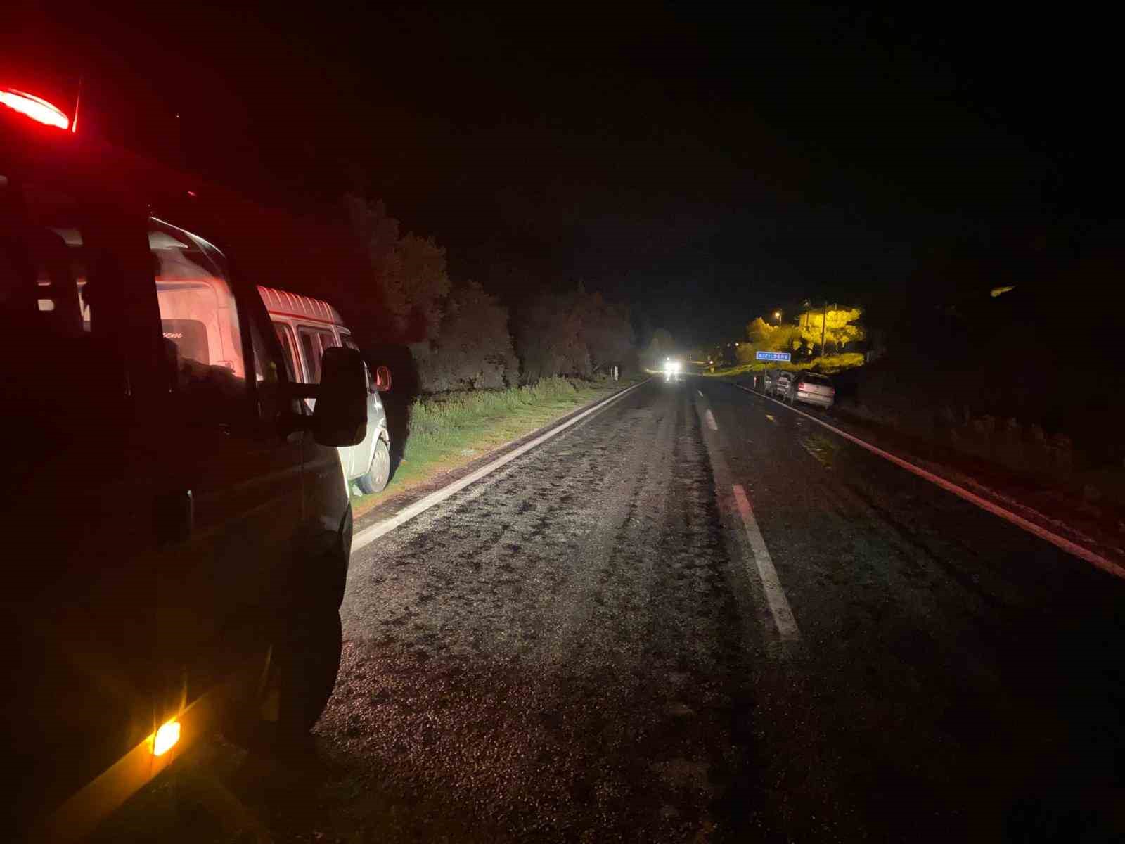 Domuza &ccedil;arpan otomobil u&ccedil;uruma yuvarlandı
