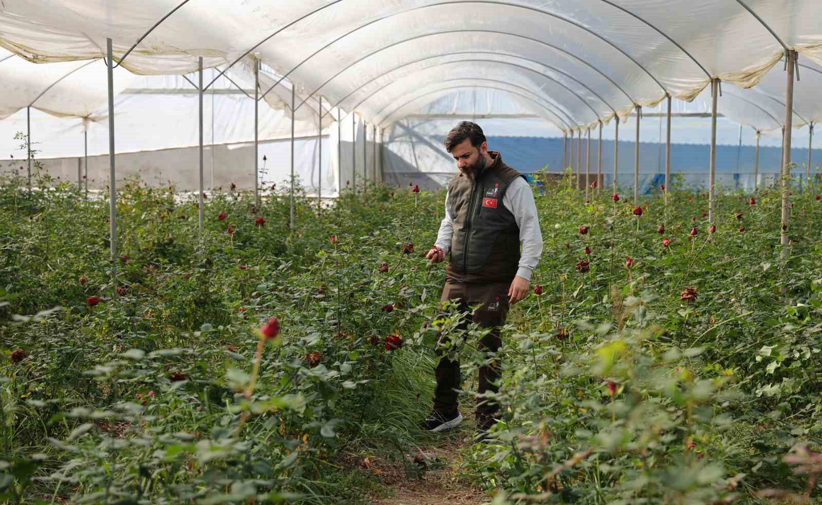 Adana’da sevgililerin gülleri dalında kurudu