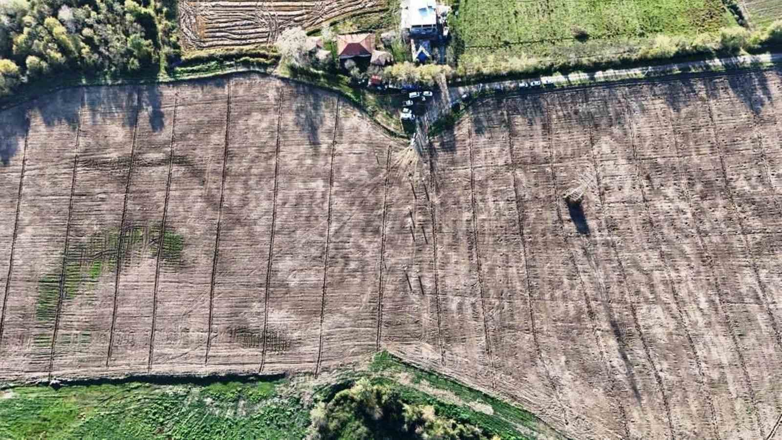 Türkiye’deki şehirler, Samsun’da üretilen fidanlarla yeşerdi