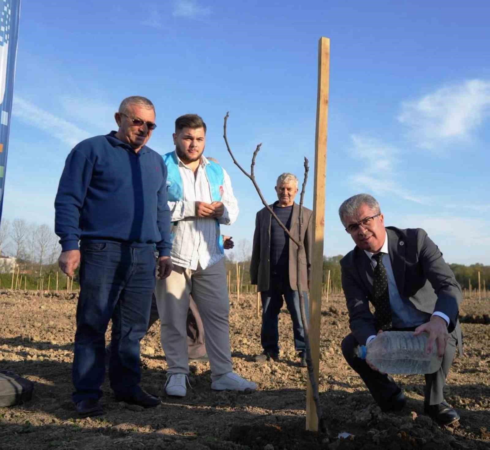 T&uuml;rkiye&rsquo;deki şehirler, Samsun&rsquo;da &uuml;retilen fidanlarla yeşerdi
