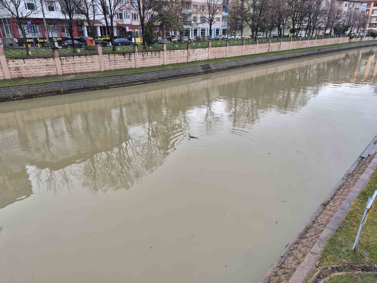 Karabatak kuşu Porsuk &Ccedil;ayı&rsquo;nda avlanmaya &ccedil;alıştı
