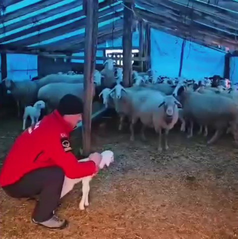 Yaylada mahsur kalan &ccedil;oban ve y&uuml;zlerce hayvana botla yem ile erzak taşıdılar
