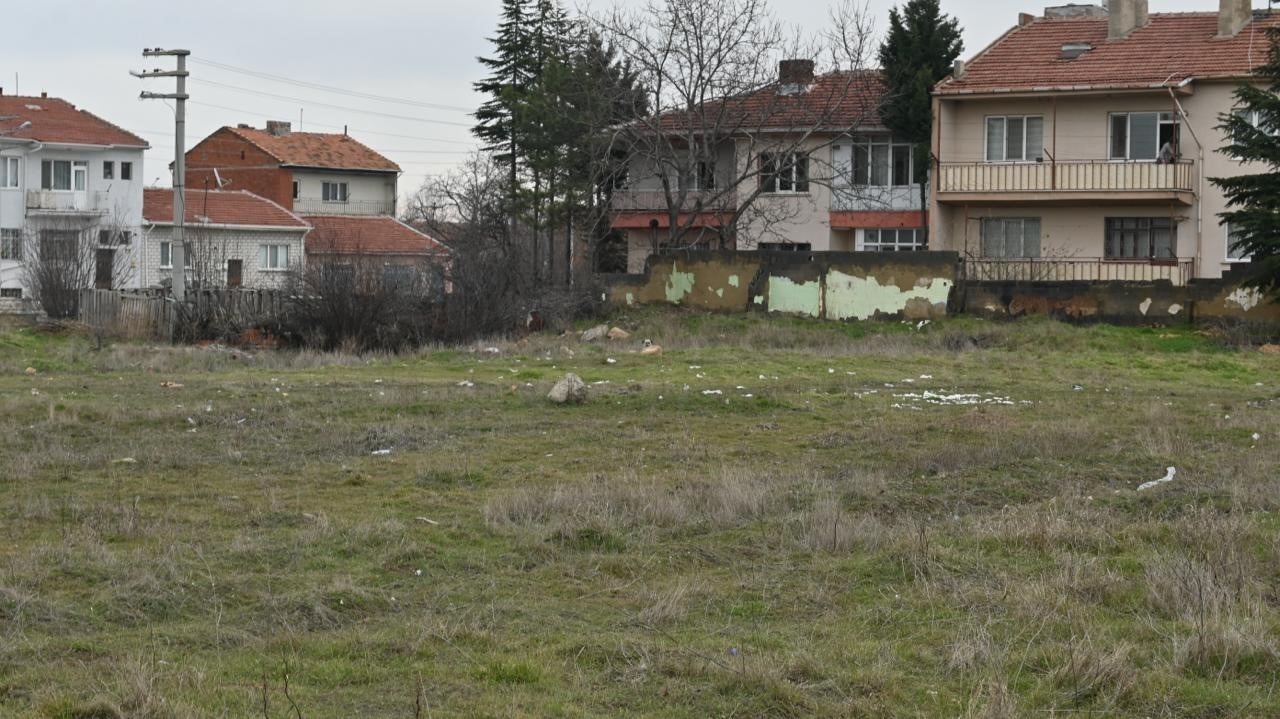 Eskişehir&rsquo;de toplanmayan başıboş k&ouml;pekler tedirgin ediyor
