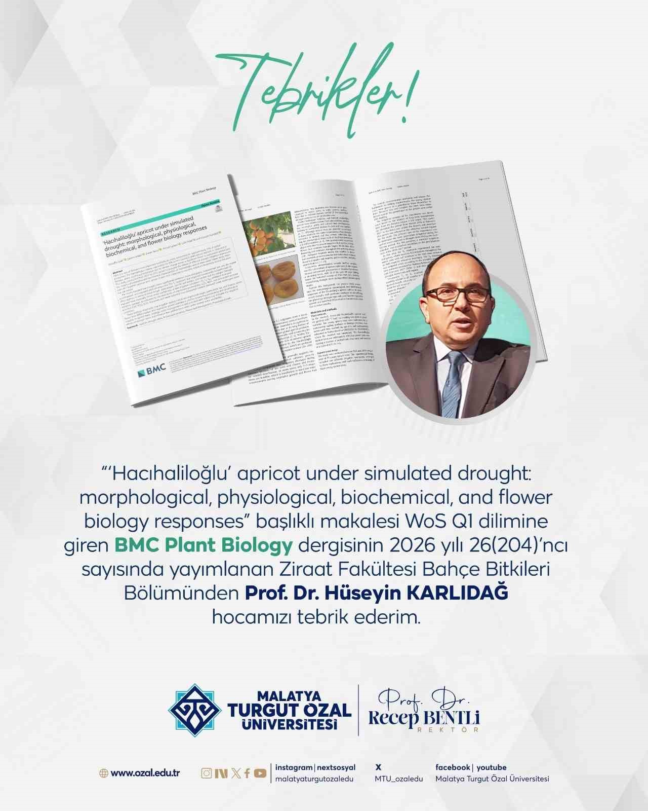 MT&Uuml;&rsquo;den d&uuml;nya &ccedil;apında akademik başarı
