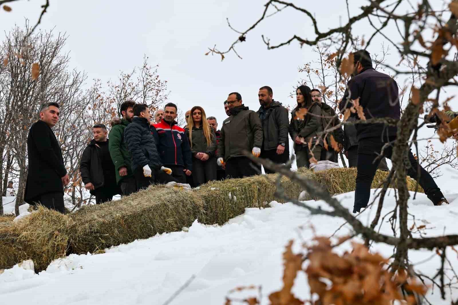 Vali Ayg&ouml;l, yaban hayvanları i&ccedil;in sahada
