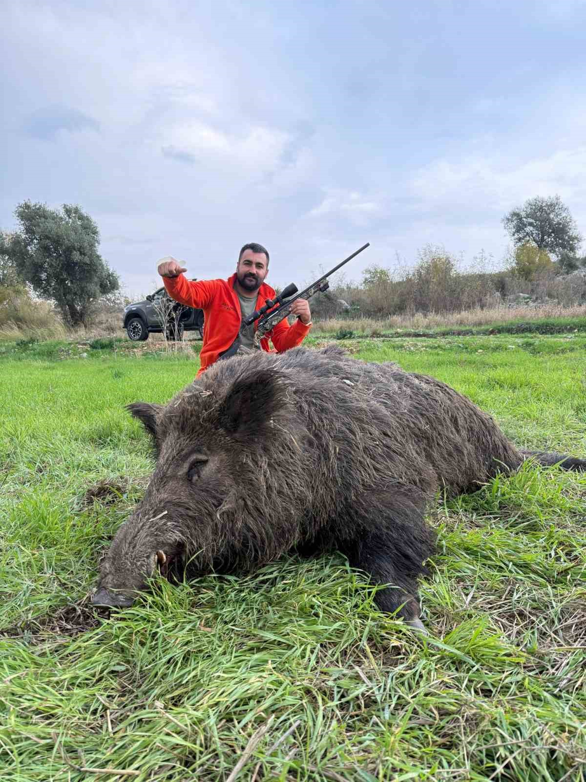 Serik&rsquo;te tarım arazilerini domuzlardan korumak i&ccedil;in s&uuml;rek avları devam ediyor

