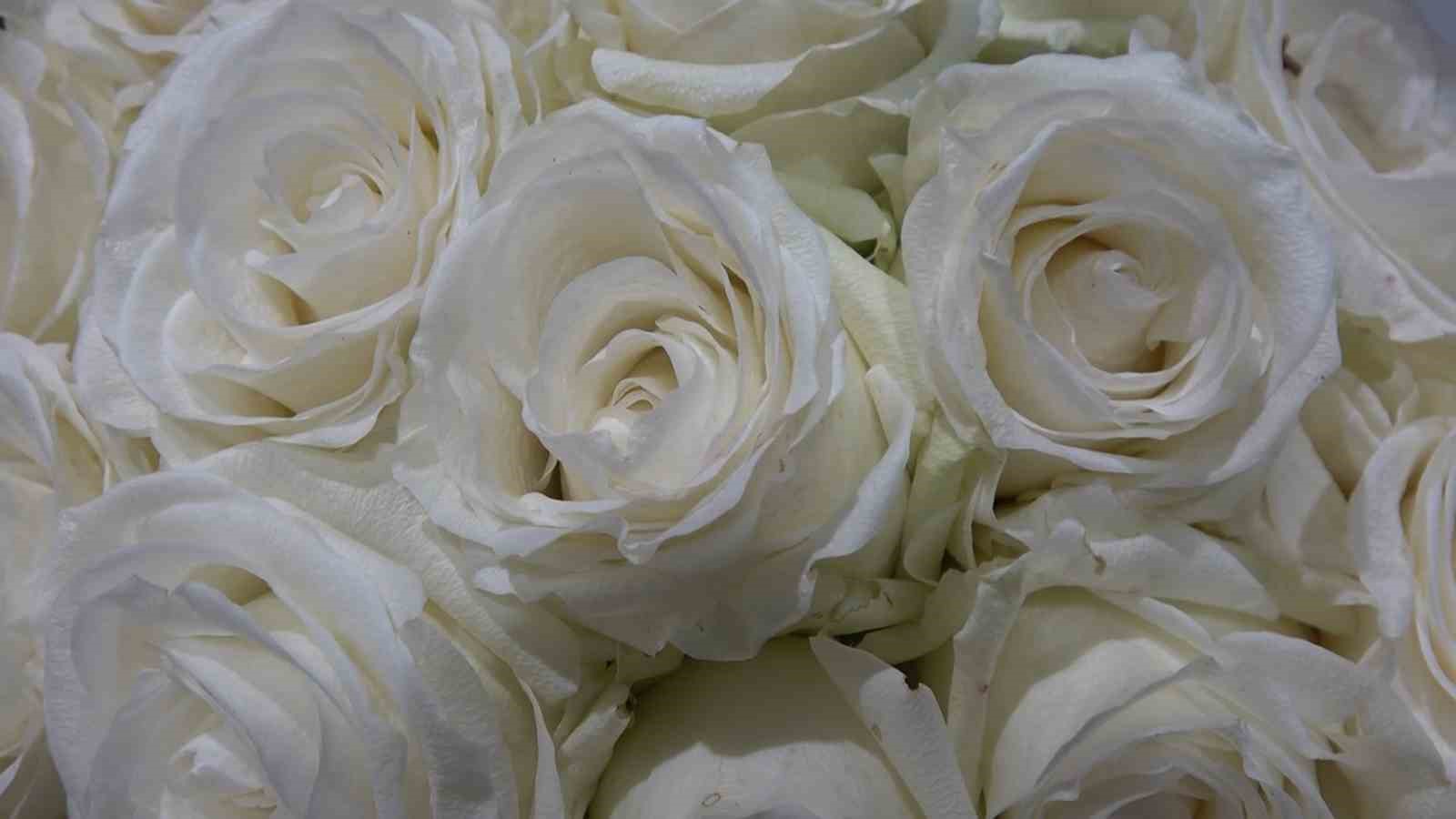 Yalova’da çiçek mezatlarında Sevgililer Günü hareketliliği