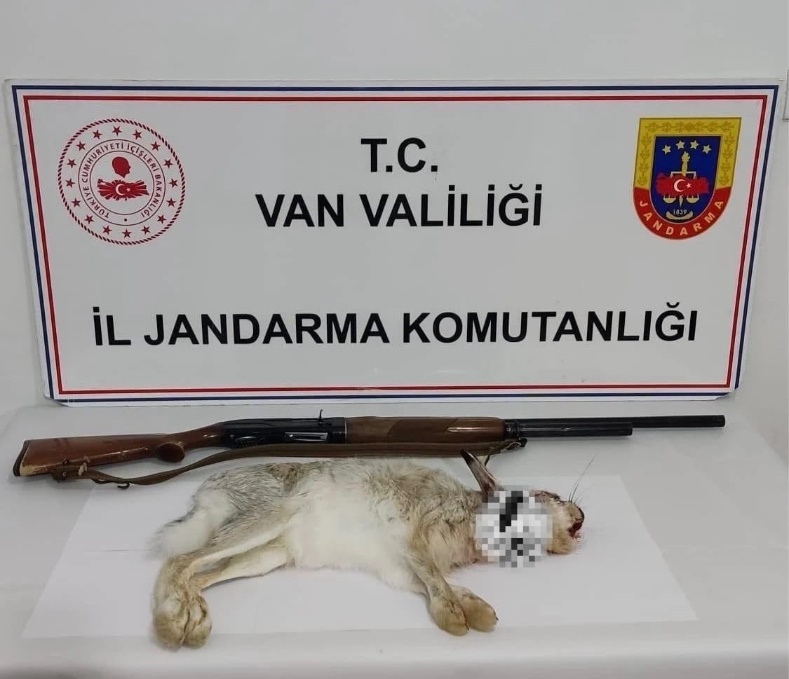 Van’da tavşan avlayan şahsa 29 bin TL ceza