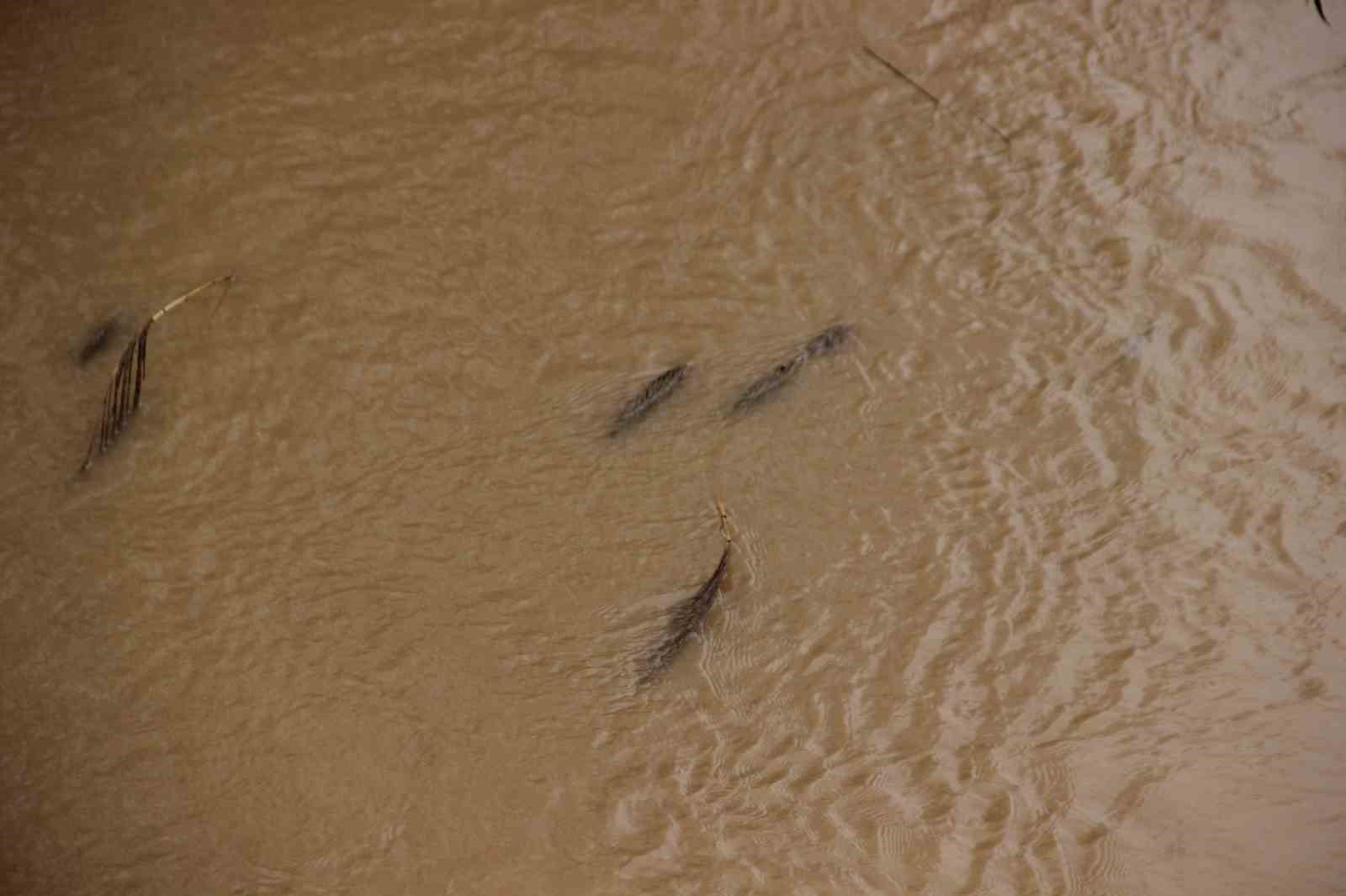 Sarıg&ouml;l&rsquo;de bereketli yağmurlar y&uuml;zleri g&uuml;ld&uuml;rd&uuml;
