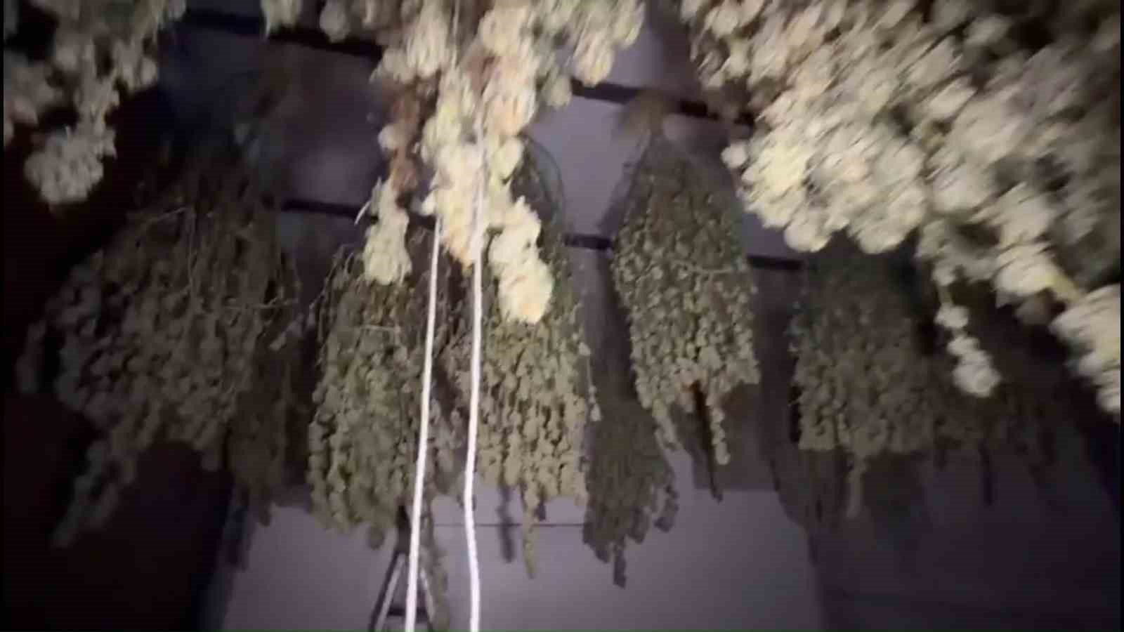 Kırklareli’nde 54 kilogram esrar ele geçirildi: 1 tutuklama