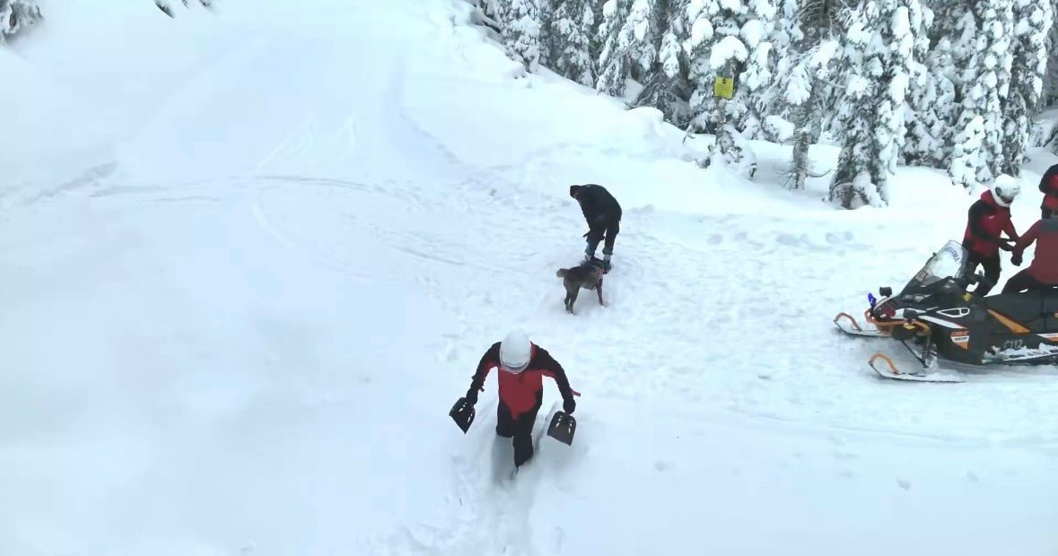 JAK timlerinden Kartalkaya&rsquo;da zorlu tatbikat
