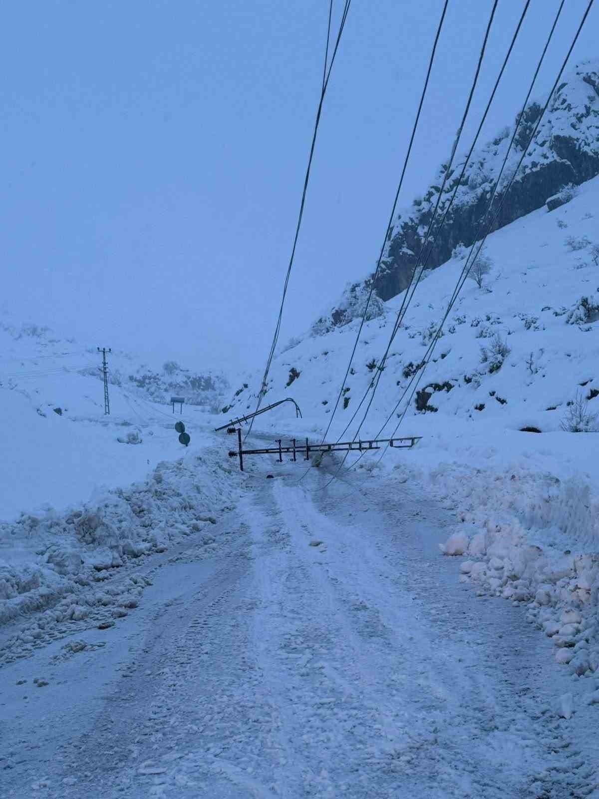 Kar yağışı nedeniyle devrilen 300 elektrik direği yenilendi