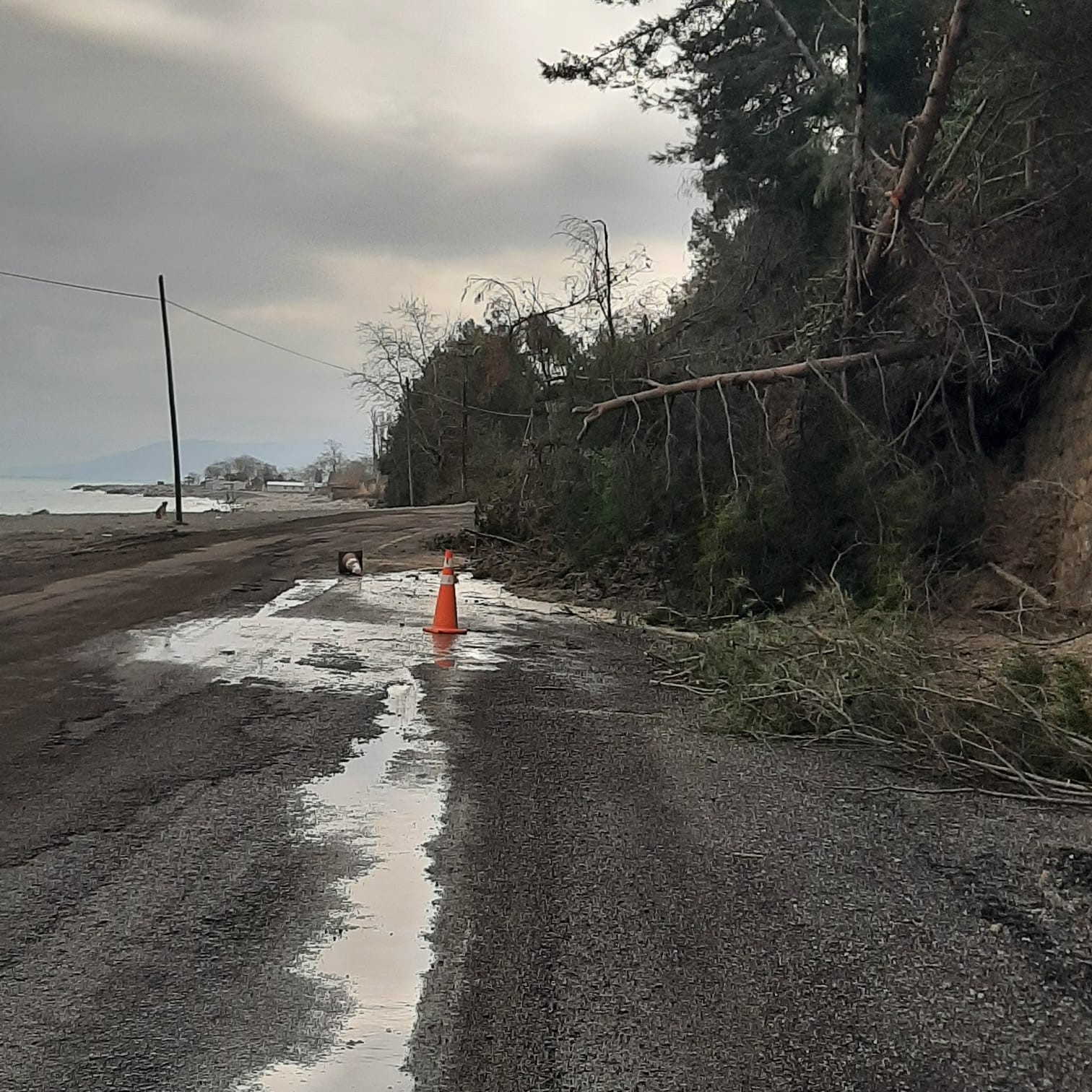 Kastamonu&rsquo;da heyelanda istinat duvarını aşan ağa&ccedil;lar yola kadar geldi
