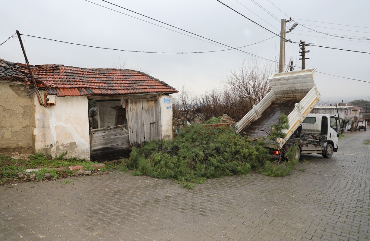 Şehzadeler Belediyesi&rsquo;nin budadığı dallar ihtiya&ccedil; sahiplerinin ocağını ısıtıyor
