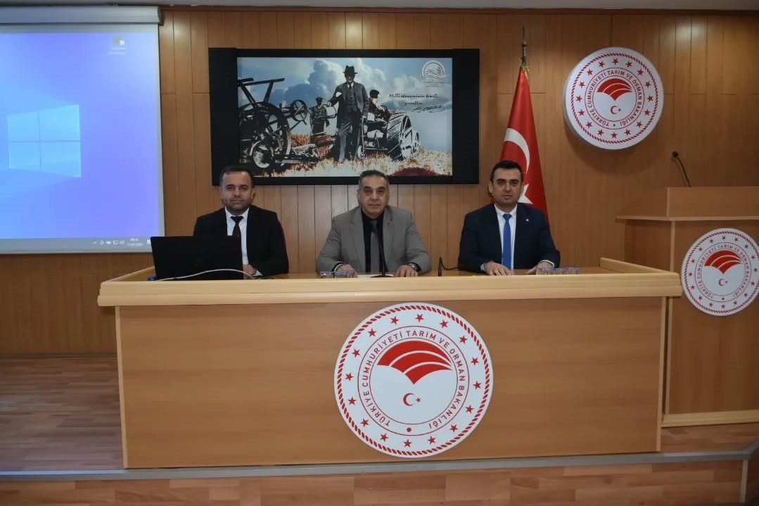 Kuru incirde gıda g&uuml;venilirliği artırılacak
