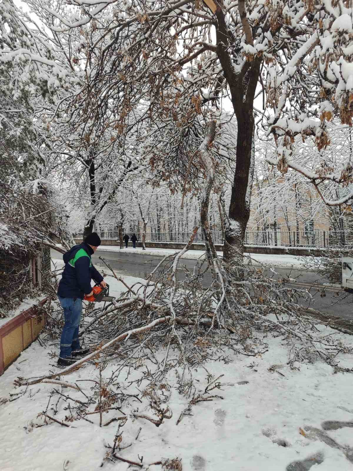 Kayseri Büyükşehir’den kış çalışmalarında ağaç güvenliği seferberliği