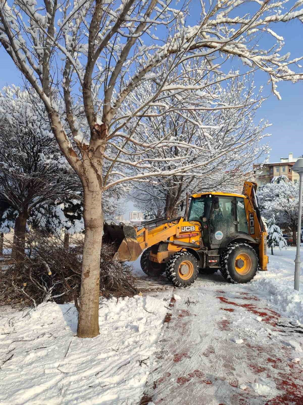 Kayseri B&uuml;y&uuml;kşehir&rsquo;den kış &ccedil;alışmalarında ağa&ccedil; g&uuml;venliği seferberliği
