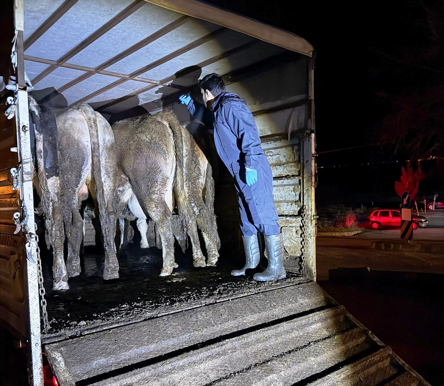 Simav’da hayvan hareketlerine yönelik yol kontrolü