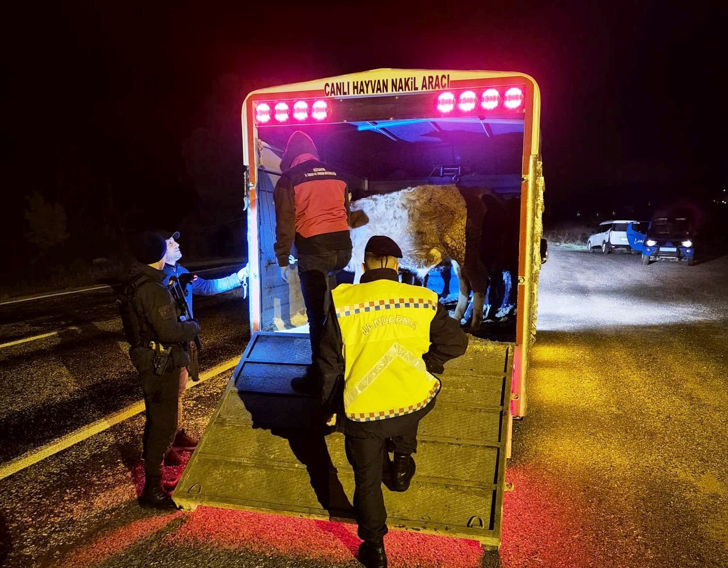 Simav&rsquo;da hayvan hareketlerine y&ouml;nelik yol kontrol&uuml;
