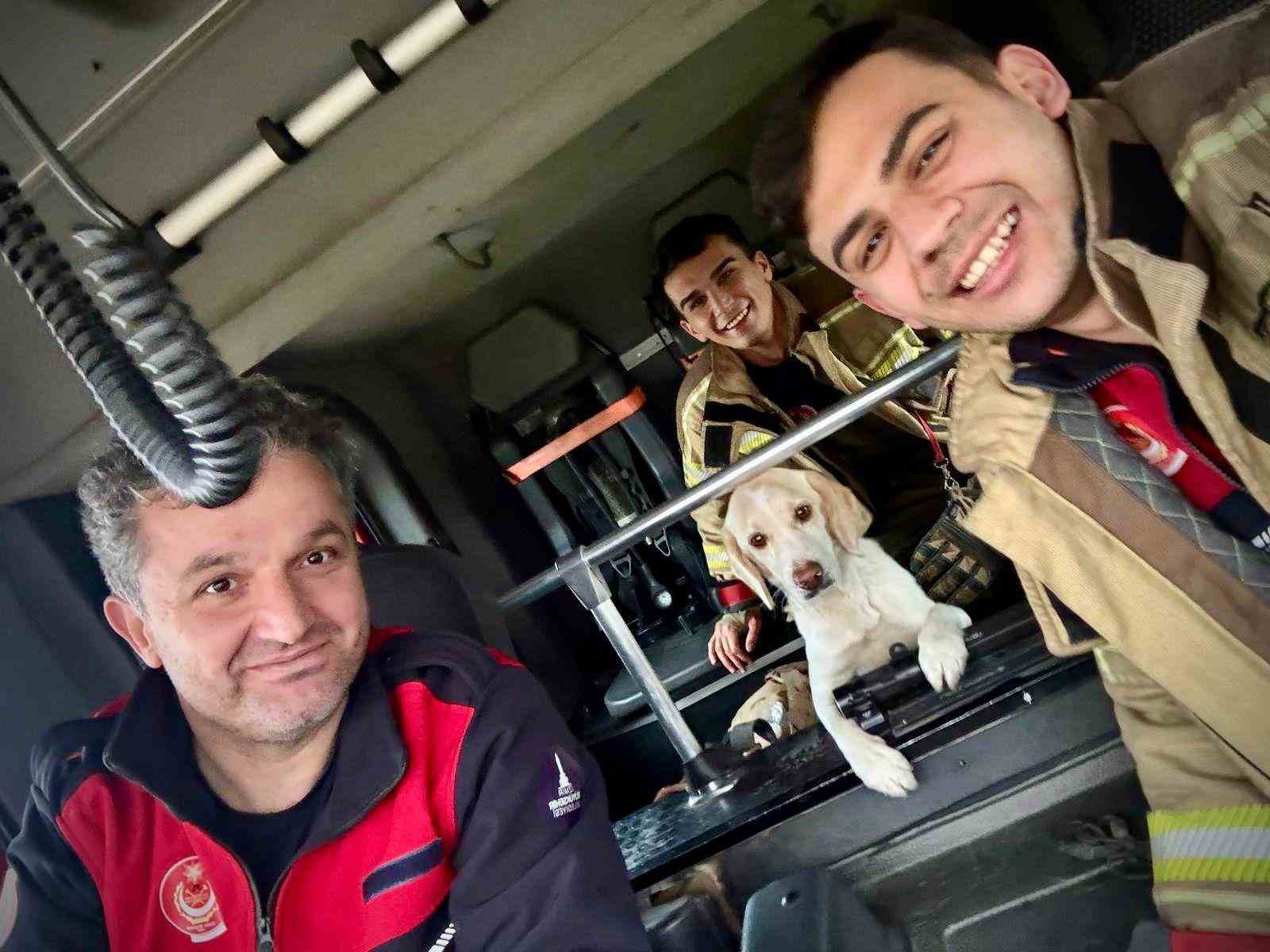 Umuda uzanan eller: Mahsur kalan köpeği itfaiye kurtardı