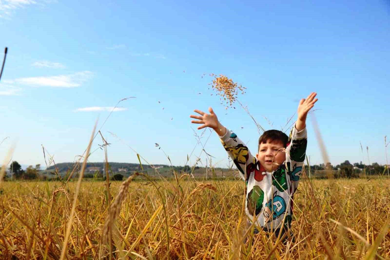 Samsun’da tarımsal üretime 6 milyara yakın destek ödemesi yapıldı