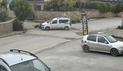 Bodrum&rsquo;da kazaya karışan s&uuml;r&uuml;c&uuml;n&uuml;n ehliyetine el konuldu
