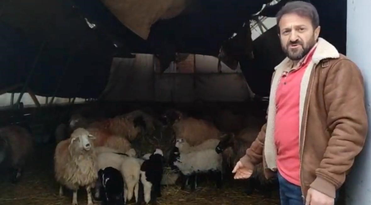 Trabzon’da ilginç görüntüler