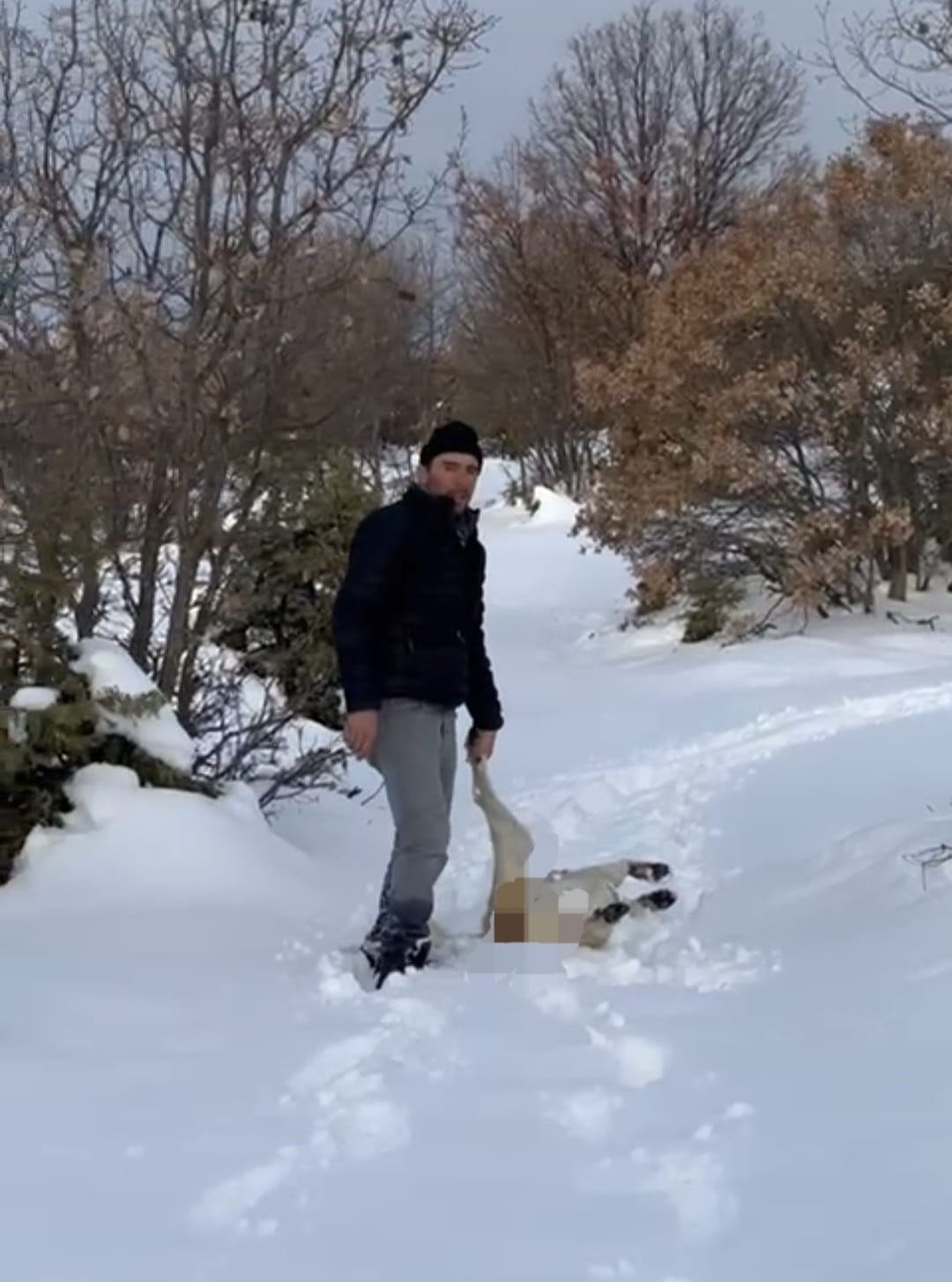 &Ouml;ld&uuml;r&uuml;len k&ouml;peğine otopsi yaptırdı, sorumluların bulunmasını istiyor
