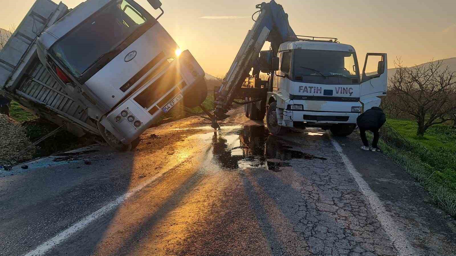 Mısır ko&ccedil;anı y&uuml;kl&uuml; &ccedil;ekici devrildi: 1 yaralı
