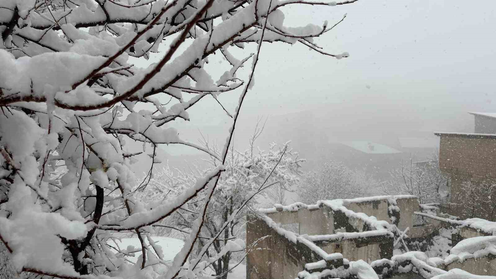 Hakk&acirc;ri&rsquo;de kar 20 k&ouml;y ve 38 mezra yolu ulaşıma kapandı
