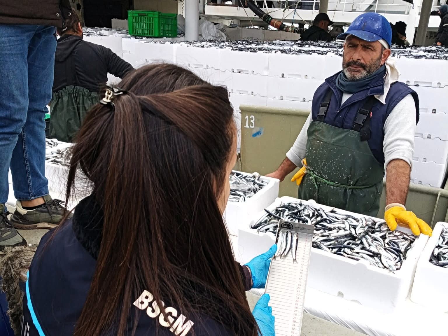 Kırklareli&rsquo;de hamsi sevkiyatlarına denetim
