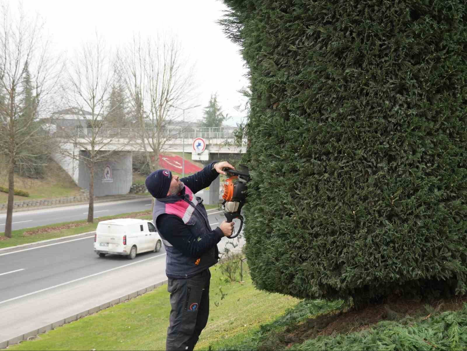 Düzce’de bahar hazırlıkları başladı