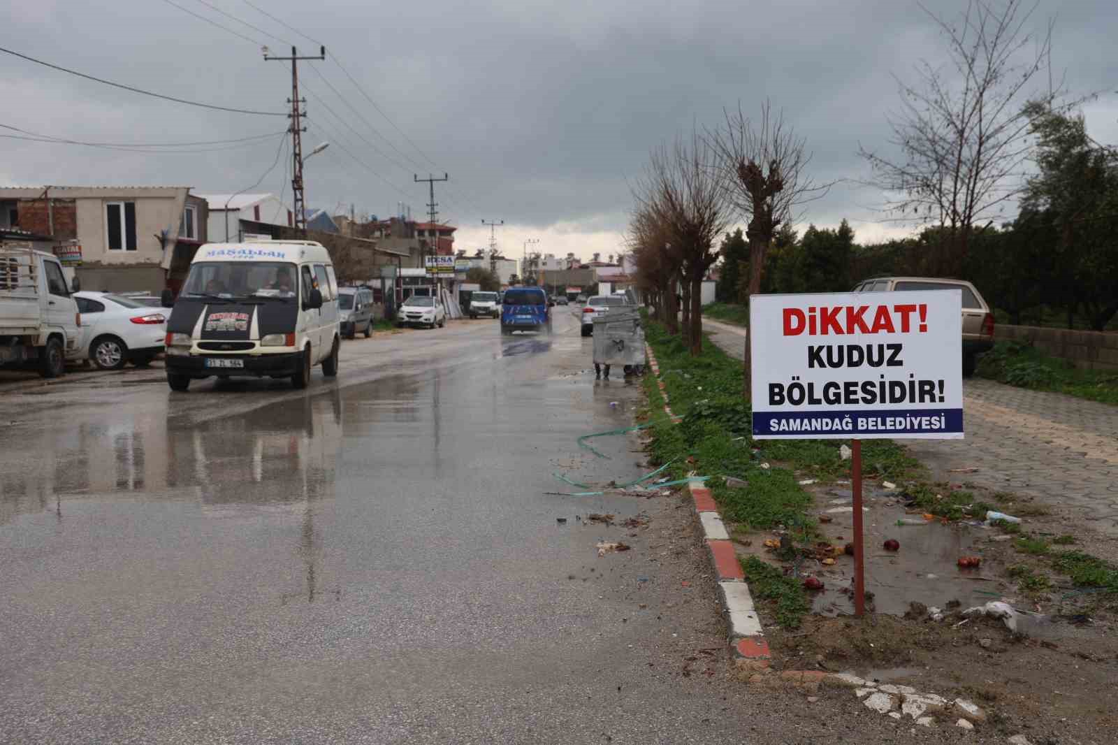Hatay’da 4 mahalleye kuduz karantinası