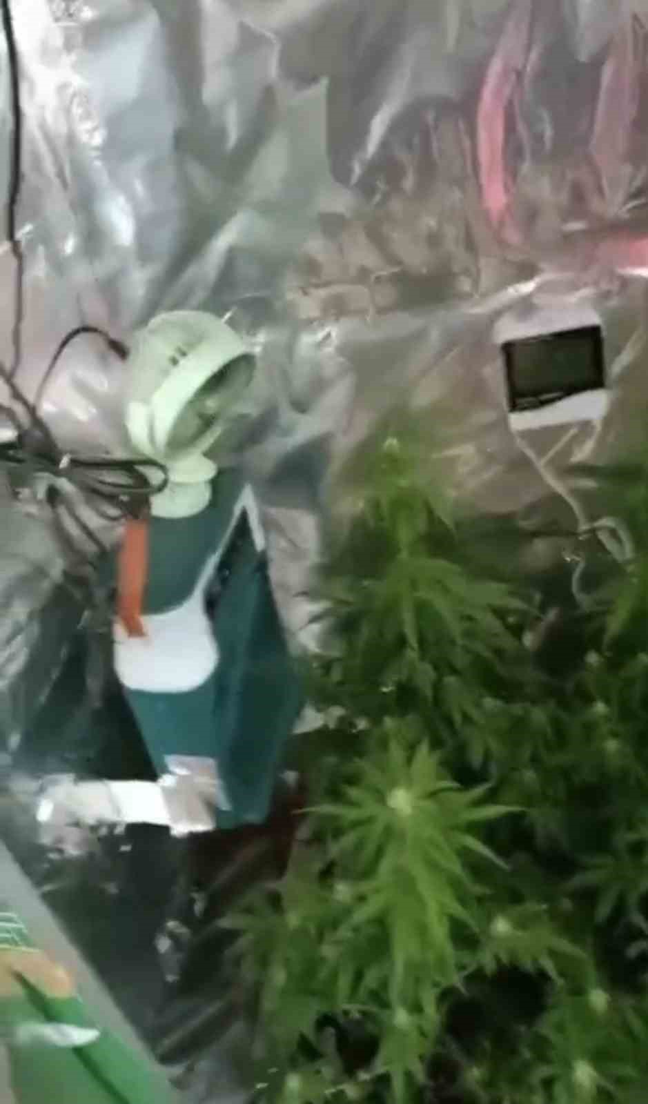 Elbise dolabında &ouml;zel iklimlendirme sistemiyle uyuşturucu serası
