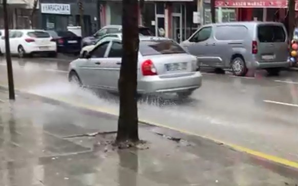 Isparta&rsquo;da fırtına ağacı k&ouml;k&uuml;nden s&ouml;kt&uuml;
