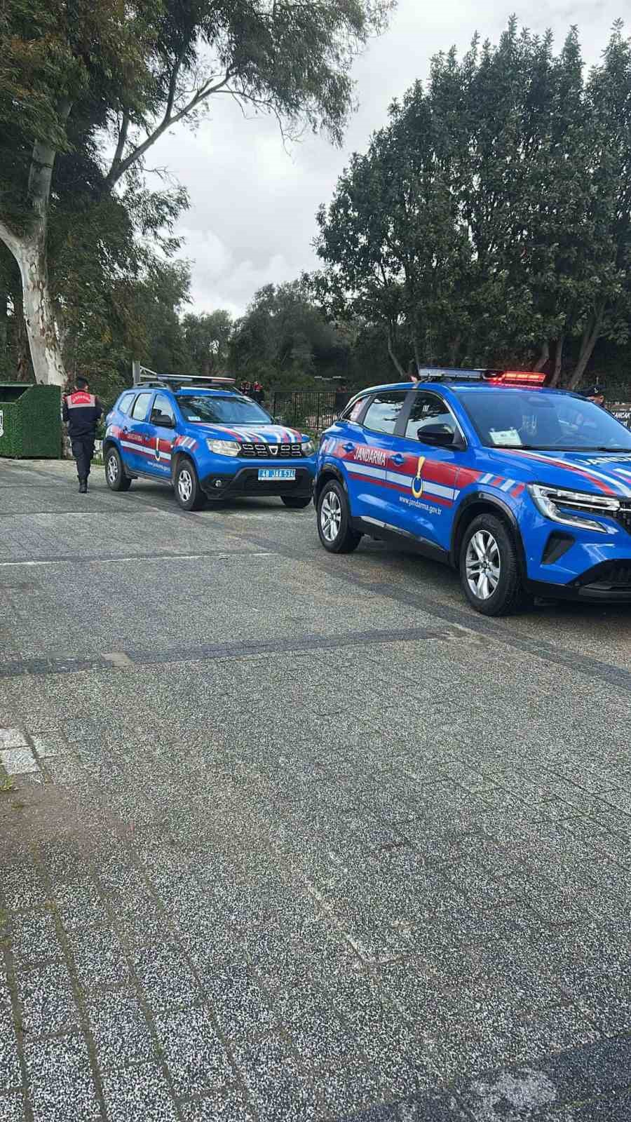 Bodrum’da iki köpeğin silahla vurulduğu iddiası