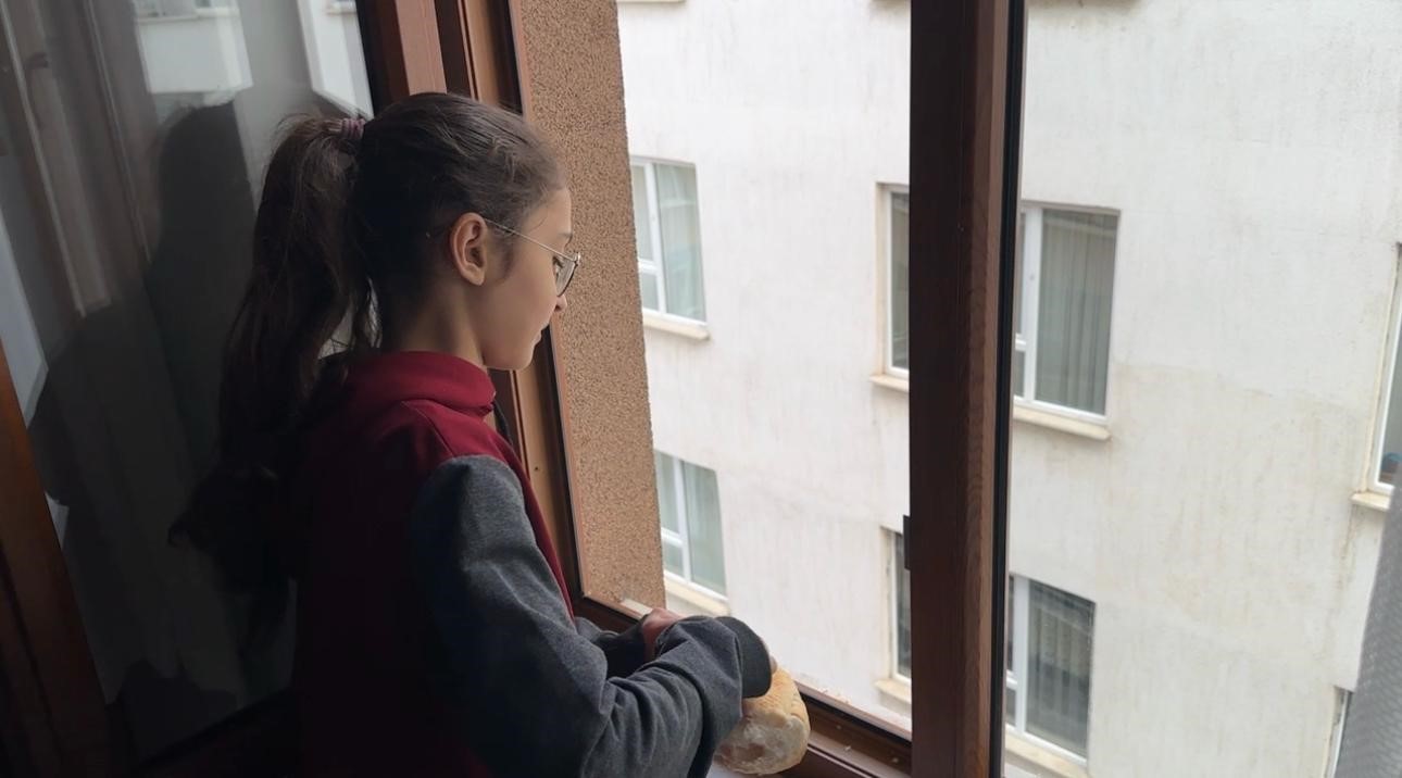 Y&uuml;rekleri ısıtan davranış: Minik &ouml;ğrenciden kuşlara ekmek
