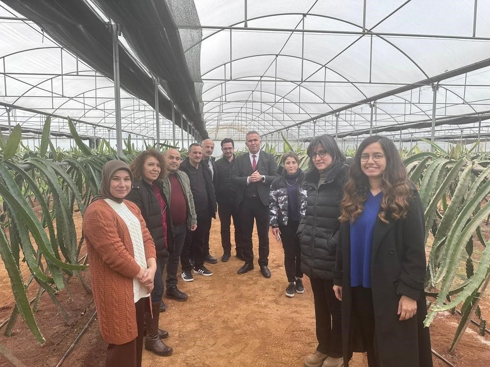 "Efeler’de Pitaya Güçleniyor" projesi incelendi