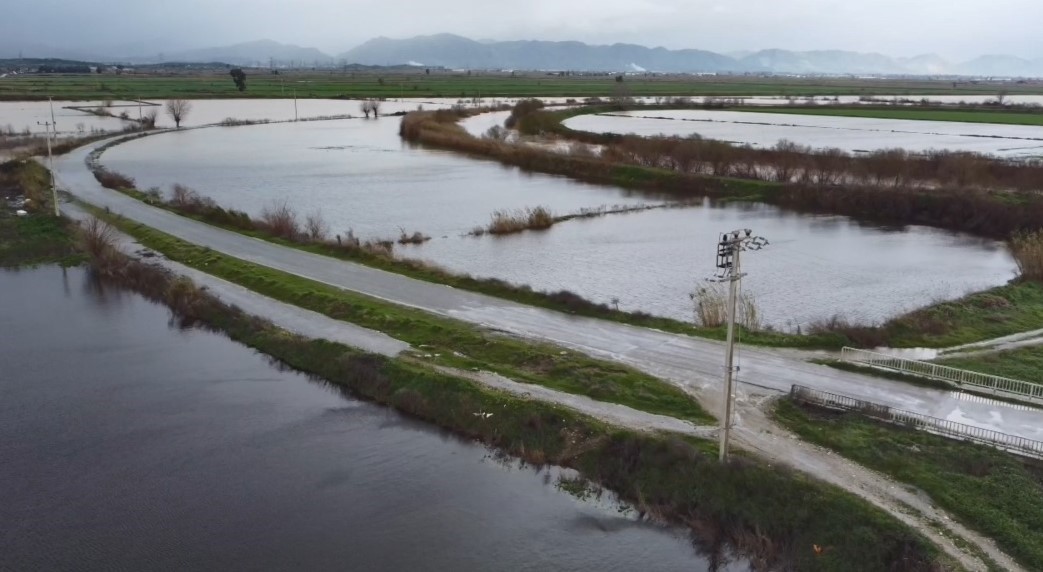 Büyük Menderes nehrindeki taşkın karayolunu kapattı