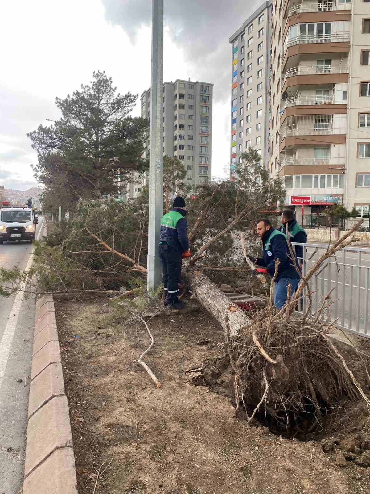 R&uuml;zgardan devrilen ağa&ccedil;lar temizleniyor
