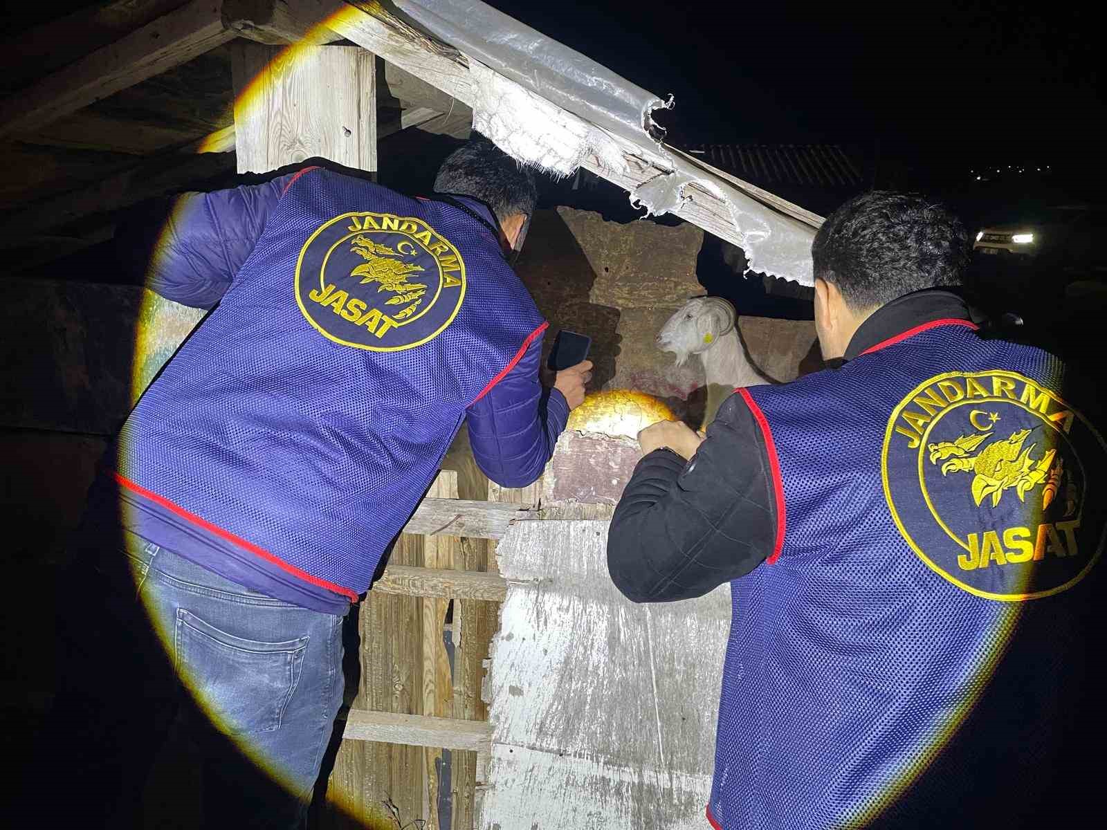 Jandarma kayıp 5 koyun için 3 iş yeri ve 9 meskene ait toplam 24 saatlik güvenlik kamerasını saniye saniye inceledi