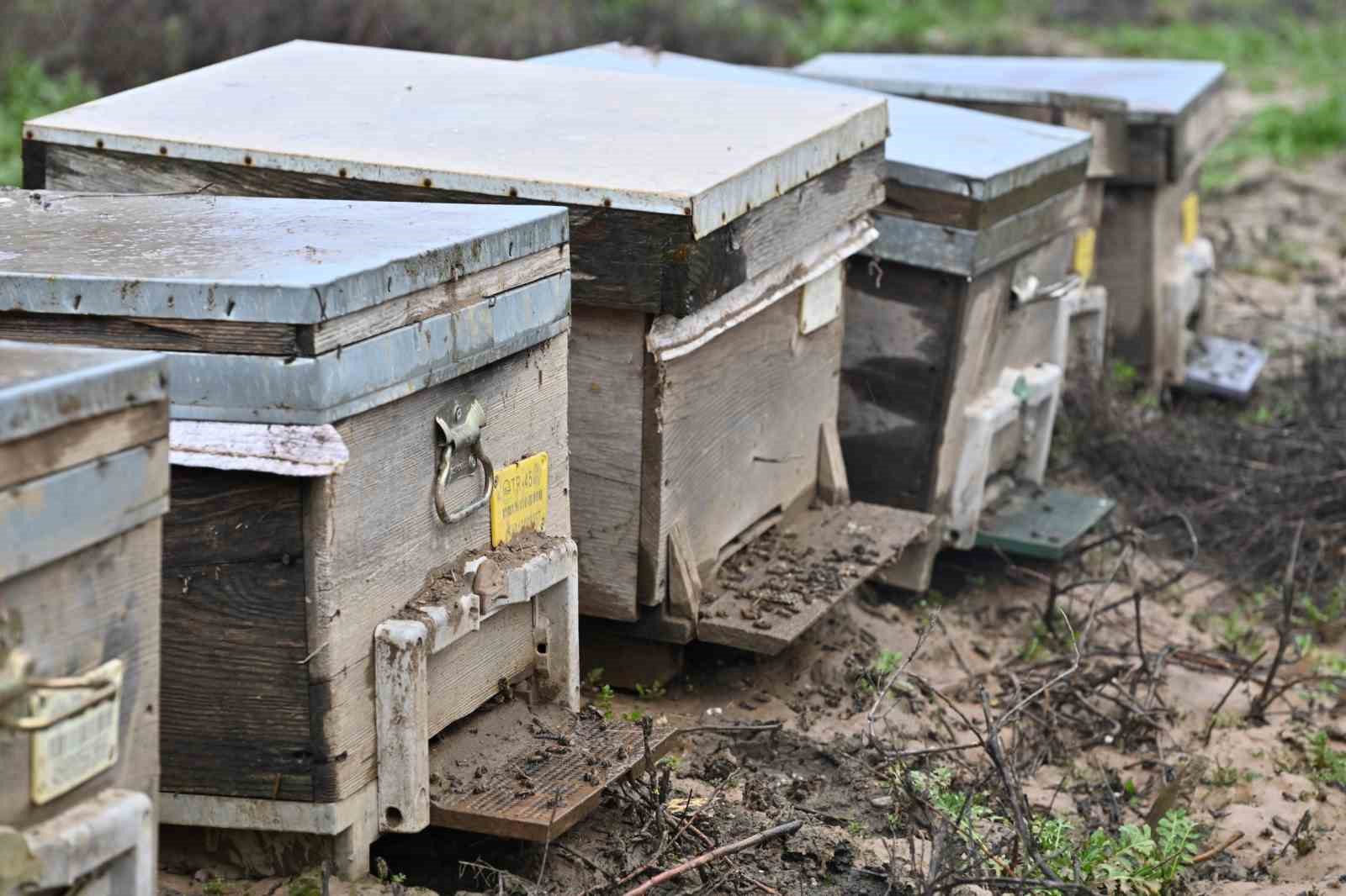 Kovanları sele kapılan Salihlili arıcıya, büyükşehirden destek