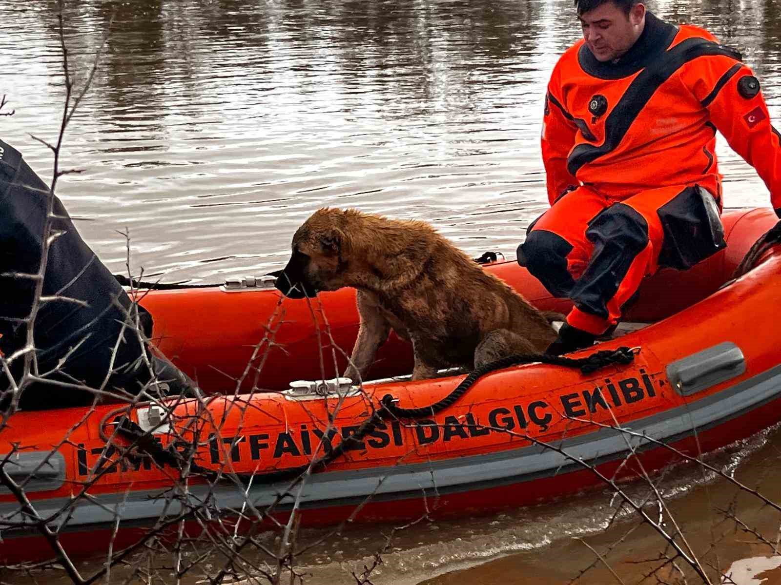 İzmir&rsquo;de ekiplerin yağış seferberliği s&uuml;r&uuml;yor
