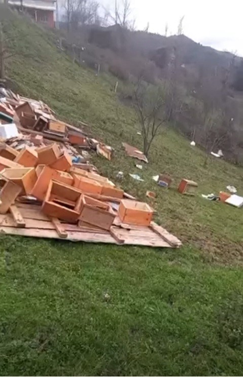 Türkeli’de fırtına arıcılığı vurdu: Onlarca kovan zarar gördü