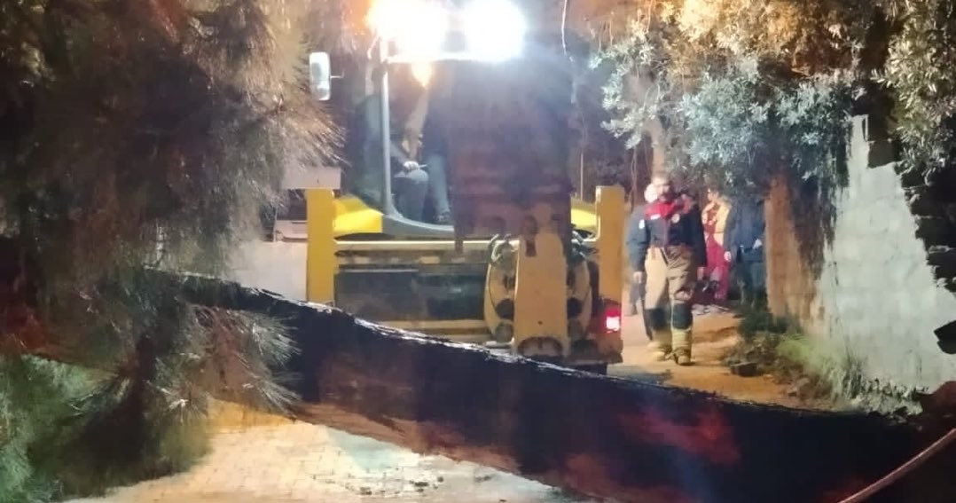 Defne&rsquo;de devrilen ağa&ccedil; yolu kapattı
